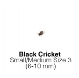 Black Small Medium