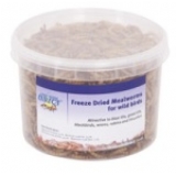 Dried Mealworms