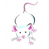 Mice