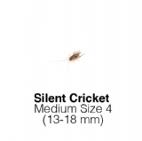 Silent Medium