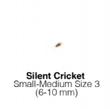 Silent Small Medium