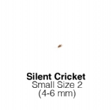 Silent Small