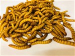 Giant Mealworms  Sack of 1kg 34-40mm