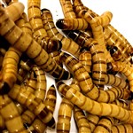 Morios Sack of 500g  40-50mm