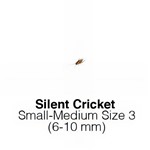 Silent Crickets Small /Medium Tub of 125-150 Size 3 6-10mm