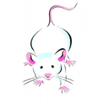 Frozen Mice Jumbo (>30g) - 50 (CAT 3 ABP) (Z)