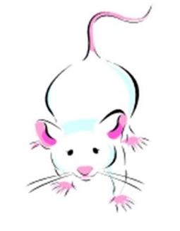Frozen Mice Medium (16-20g) - 50 (CAT 3 ABP) (Z)