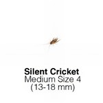 Silent Crickets Medium Sack of 1000 Size 4 MONTHLY SUPERSAVER