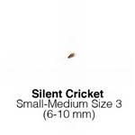 Silent Crickets Small/Medium Tub of 125-150 Size 3 6-10mm