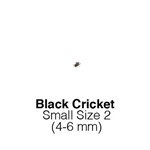 Black Crickets Small  Size 2 Sack of 1000- WEEKLY SUPERSAVER