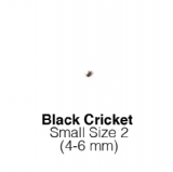 Black Crickets Small 1 Tub of 225-250 Size 2 4-6mm