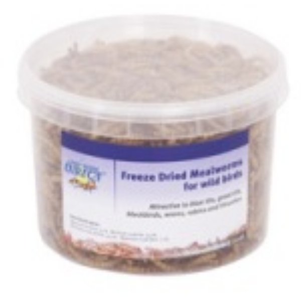 Mealworms Dried 500ml Live Foods Direct