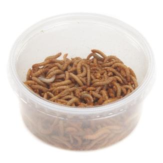 Mealworms Regular Wildbirds 6 Tubs x 40g