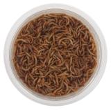 Mealworms Mini Wildbirds 3 Tubs x 40g