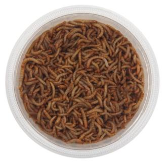 Wild Bird Mini Mealworms