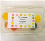 Jelly Pots pack of 10 mixed flavours    