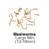 Mealworms Large Mini Sack of 2Kg 13-19mm