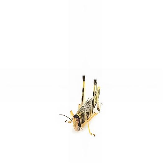 Locusts Medium - MAXIPACK of 30 Size 3 15-22mm
