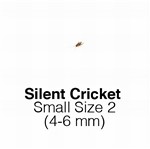 Silent Crickets Small MAXIPACK of 450  Size 2 4-6mm