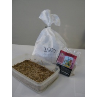 Mealworm Starter Kit with Regular