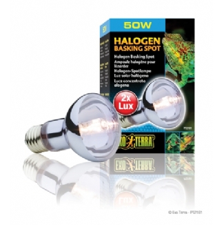 Halogen Basking Spot 50w - Exo Terra