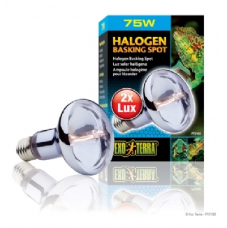 Exo Terra Halogen Bulbs