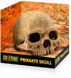 Exo Terra Primate Skull