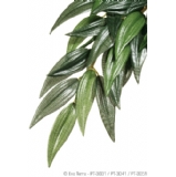 Silk Rucus Plant Medium - Exo Terra