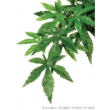 Silk Abutilon Plant Medium - Exo Terra
