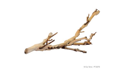 Forest Branch Small 30cm - Exo Terra
