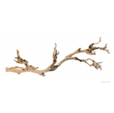 Forest Branch Large 60cm - Exo Terra