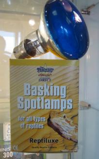 Basking Spot Lamp Daylight 60w