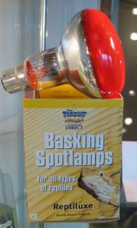 Basking Spot Lamp Red 60w BC