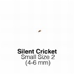 Silent Crickets Small  Sack of 1000-Size 2 FORTNIGHTLY SUPERSAVER