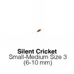 Silent Crickets Sm/Med Size 3 Sack of 1000 - MONTHLY SUPERSAVER     