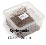 Spring Tails 1 Tub