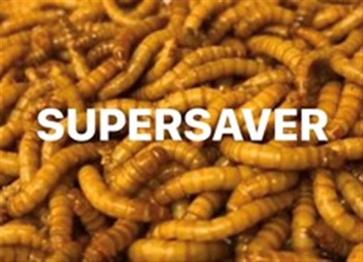 Mealworms  Small Regular 250g Fortnightly - SUPERSAVER