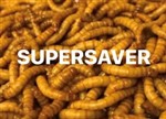 Mealworms  Small Regular 250g Fortnightly - SUPERSAVER