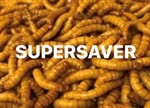 Mealworms Small Regular 250g Weekly - SUPERSAVER